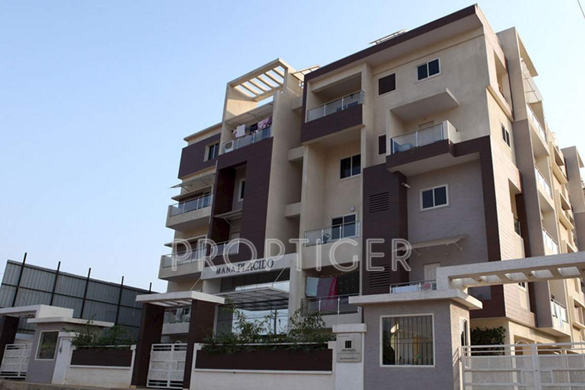 Images for Elevation of Mana Projects Placido