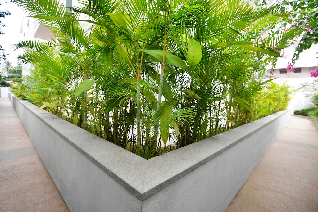 Images for amenities