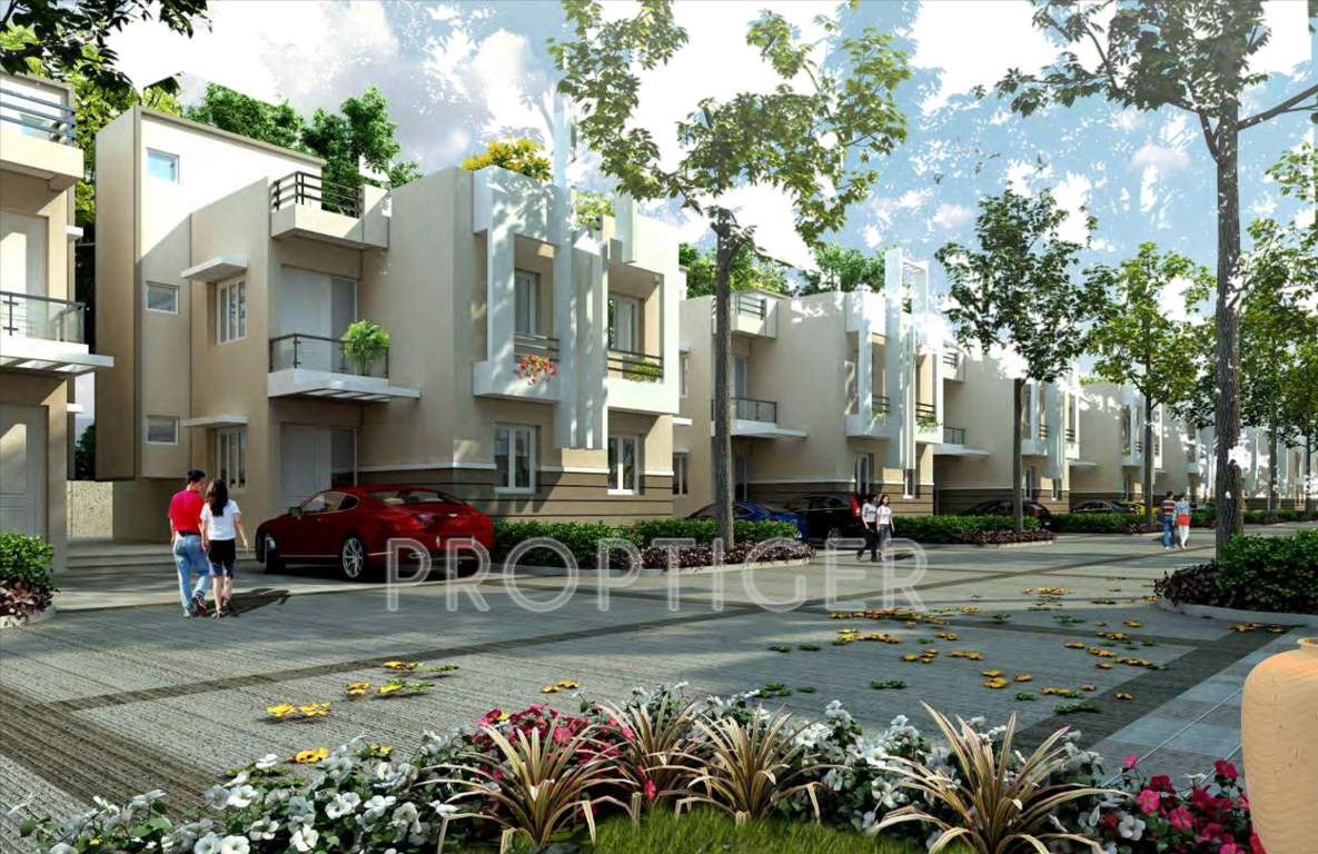  meadowville Images for Elevation of Sare Meadowville