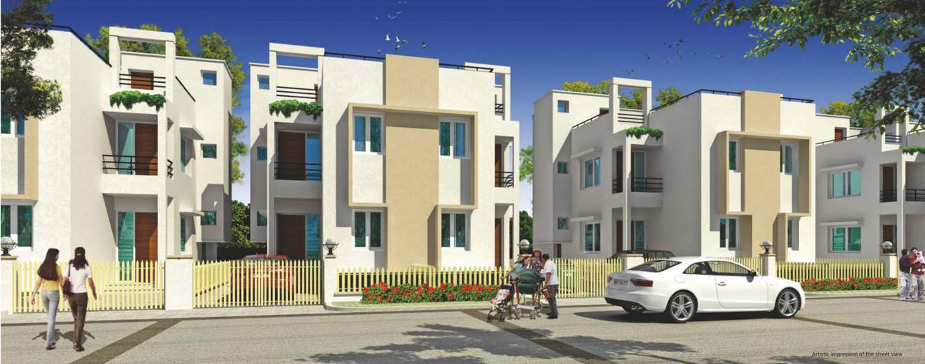  meadowville Images for Elevation of Sare Meadowville