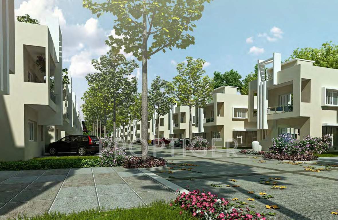  meadowville Images for Elevation of Sare Meadowville