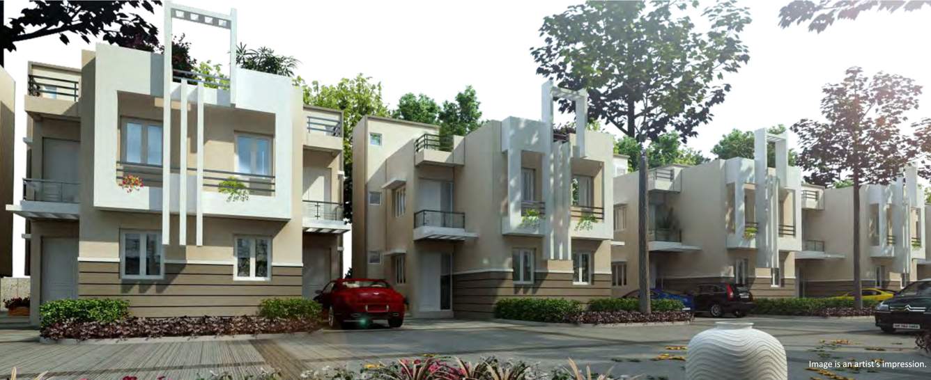  meadowville Images for Elevation of Sare Meadowville