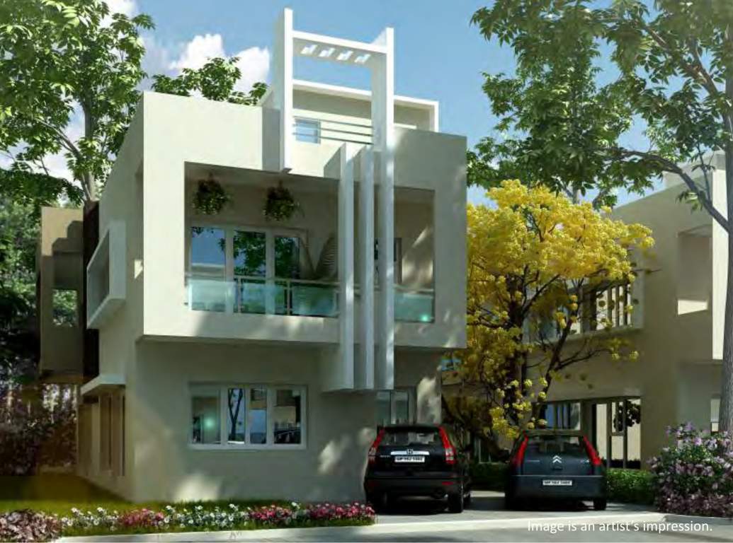  meadowville Images for Elevation of Sare Meadowville