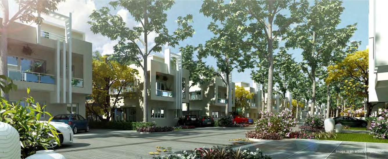  meadowville Images for Elevation of Sare Meadowville