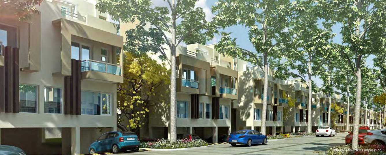  meadowville Images for Elevation of Sare Meadowville