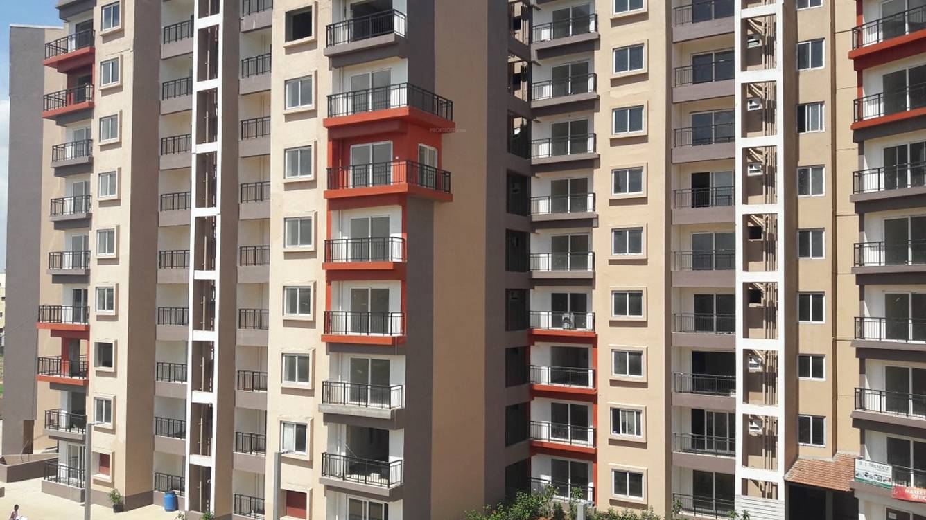 Images for Elevation of SJR Fiesta Homes