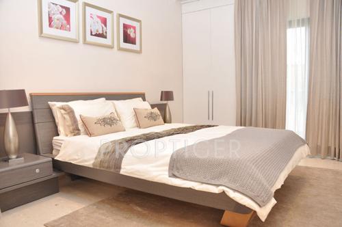 Images for Main Other of Supertech Supernova supernova Images for Main Other of Supertech Supernova