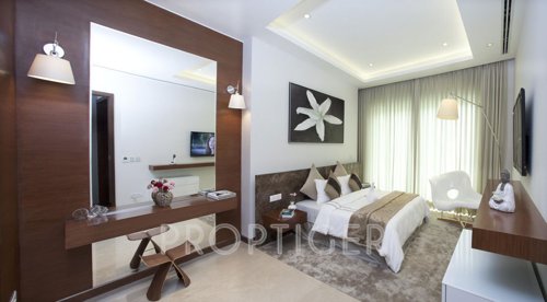 Images for Main Other of Supertech Supernova supernova Images for Main Other of Supertech Supernova