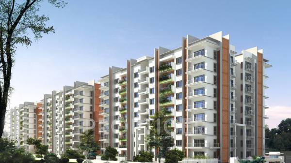 Images for Elevation of Saran Mulberry Woods