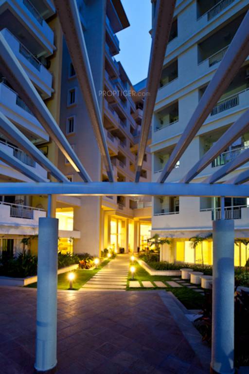 Images for Elevation of August Park