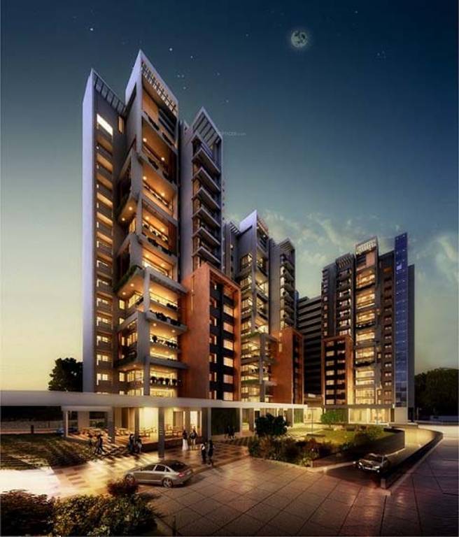 Images for Elevation of Golden Orchids