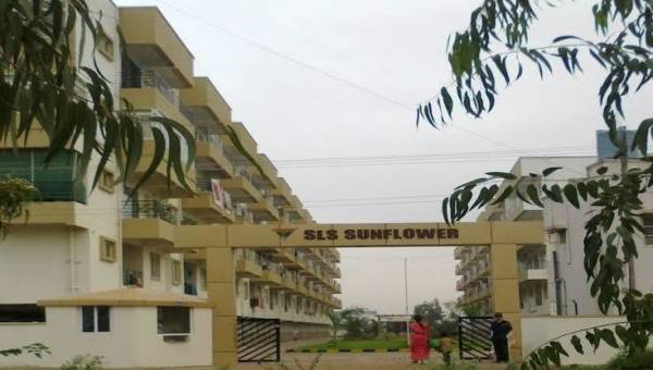 Images for Project sunflower Images for Project