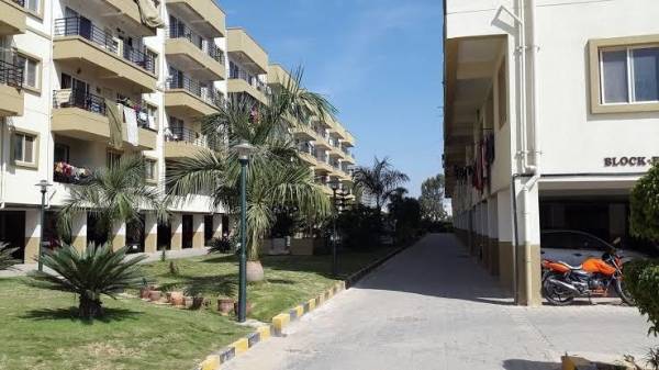 Images for Project sunflower Images for Project