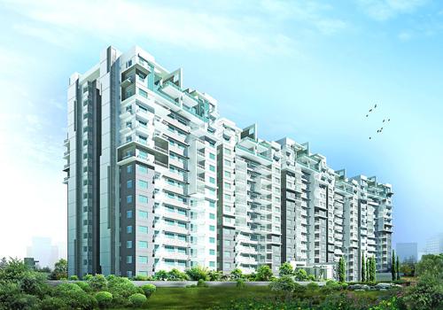  woodwinds Images for Elevation of DSR Woodwinds