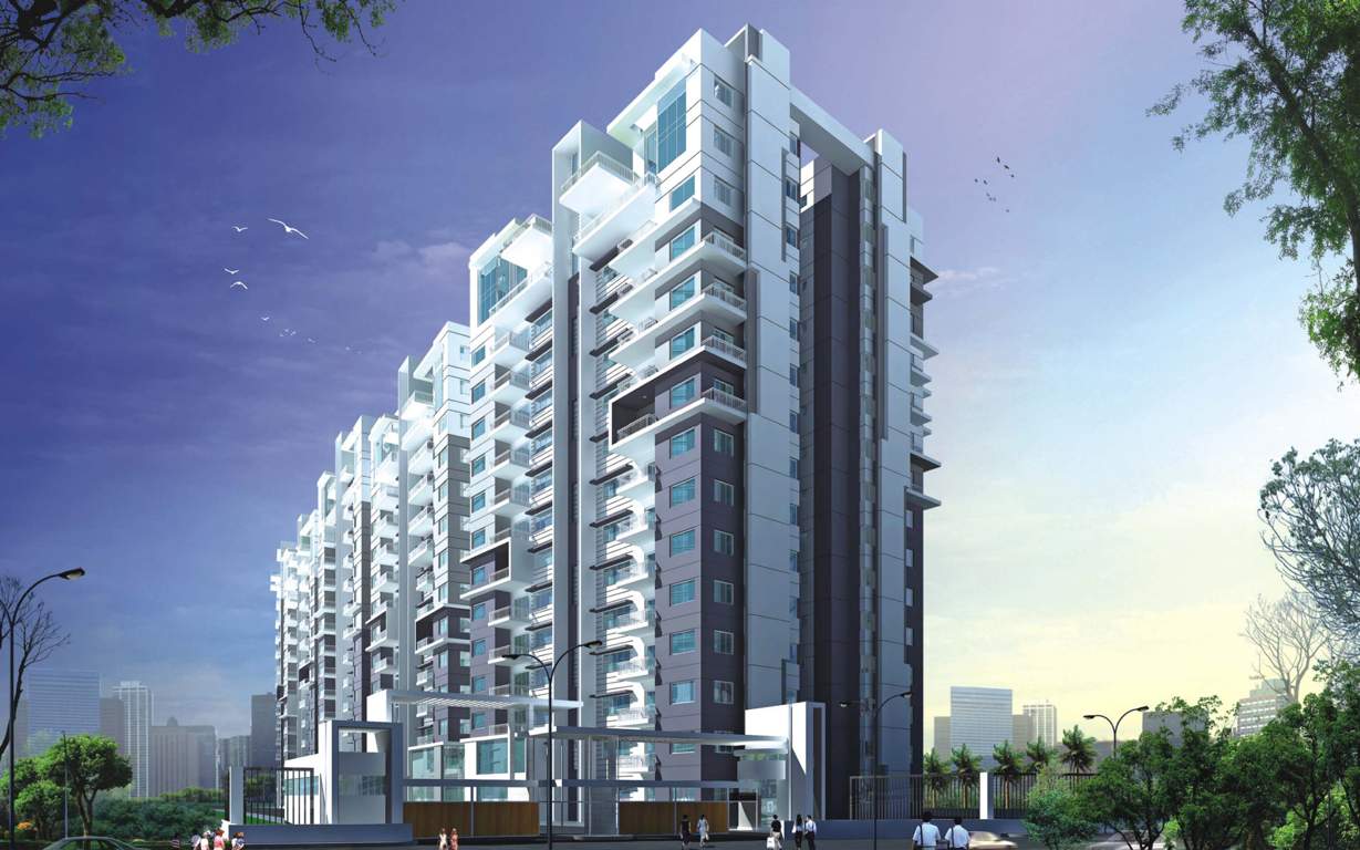  woodwinds Images for Elevation of DSR Woodwinds