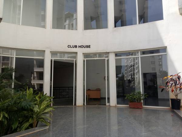 Club House vdb-celadon Club House