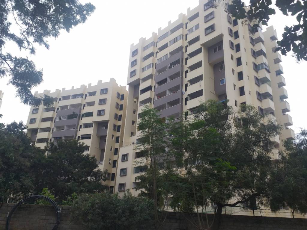  golden palms Elevation