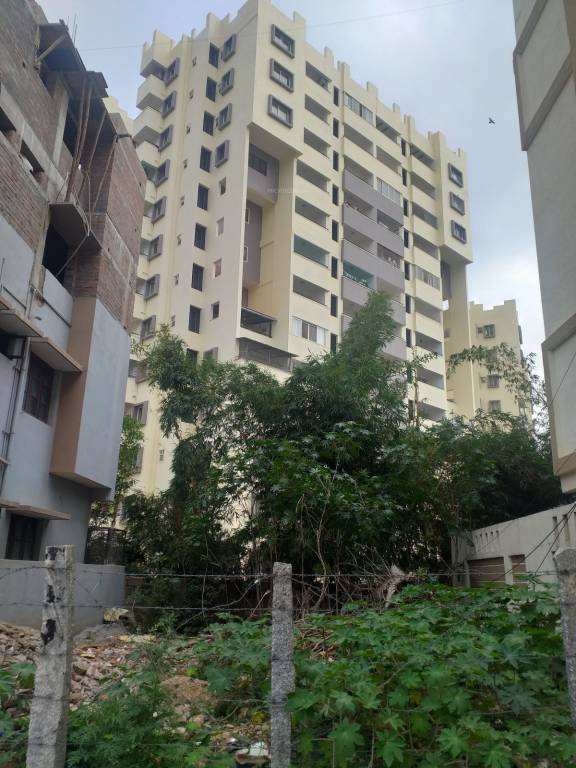  golden palms Elevation