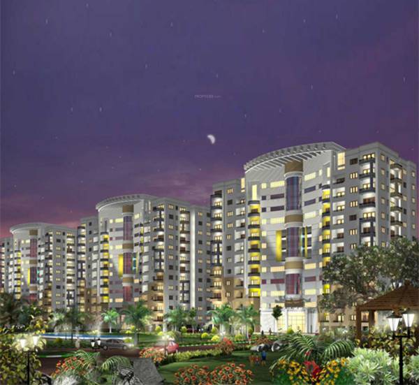 Images for Elevation of Golden Golden Blossom Images for Elevation of Golden Golden Blossom