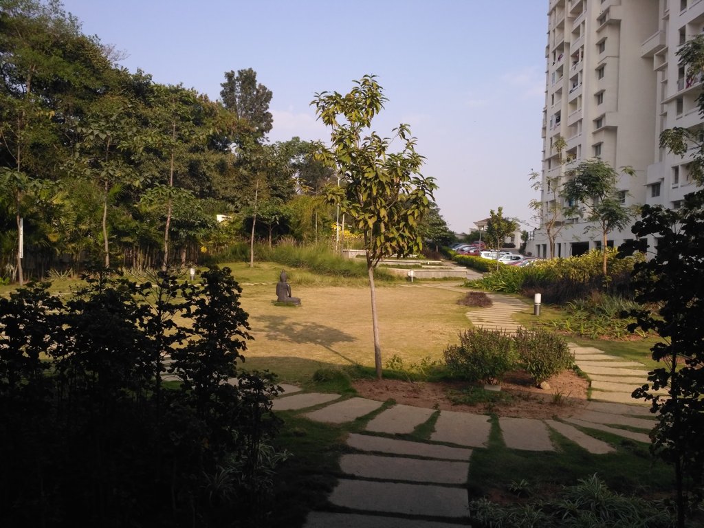  hyde park Landscape Garden and Tree Planting