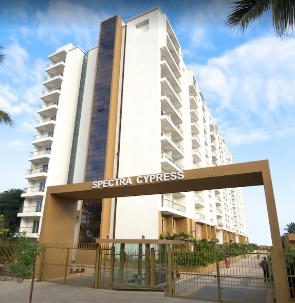 dummy-Spectra Constructions Cypress