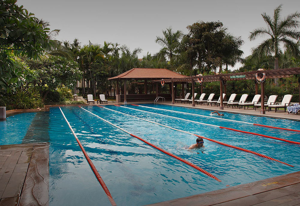  palm meadows Swimming Pool