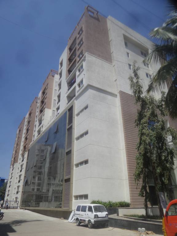  central Images for Project