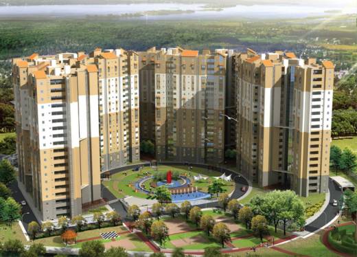 Images for Elevation of Ozone Evergreens