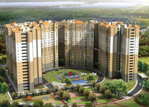 Images for Elevation of Ozone Evergreens