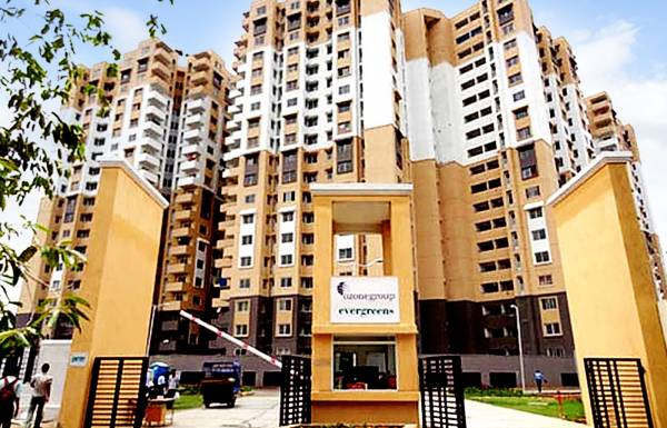 Images for Elevation of Ozone Evergreens