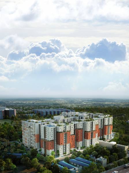 Images for Elevation of SPRRG Osian Chlorophyll Images for Elevation of SPRRG Osian Chlorophyll