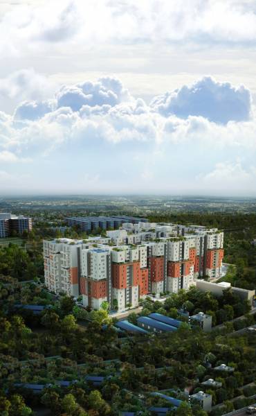 Images for Elevation of SPRRG Osian Chlorophyll Images for Elevation of SPRRG Osian Chlorophyll