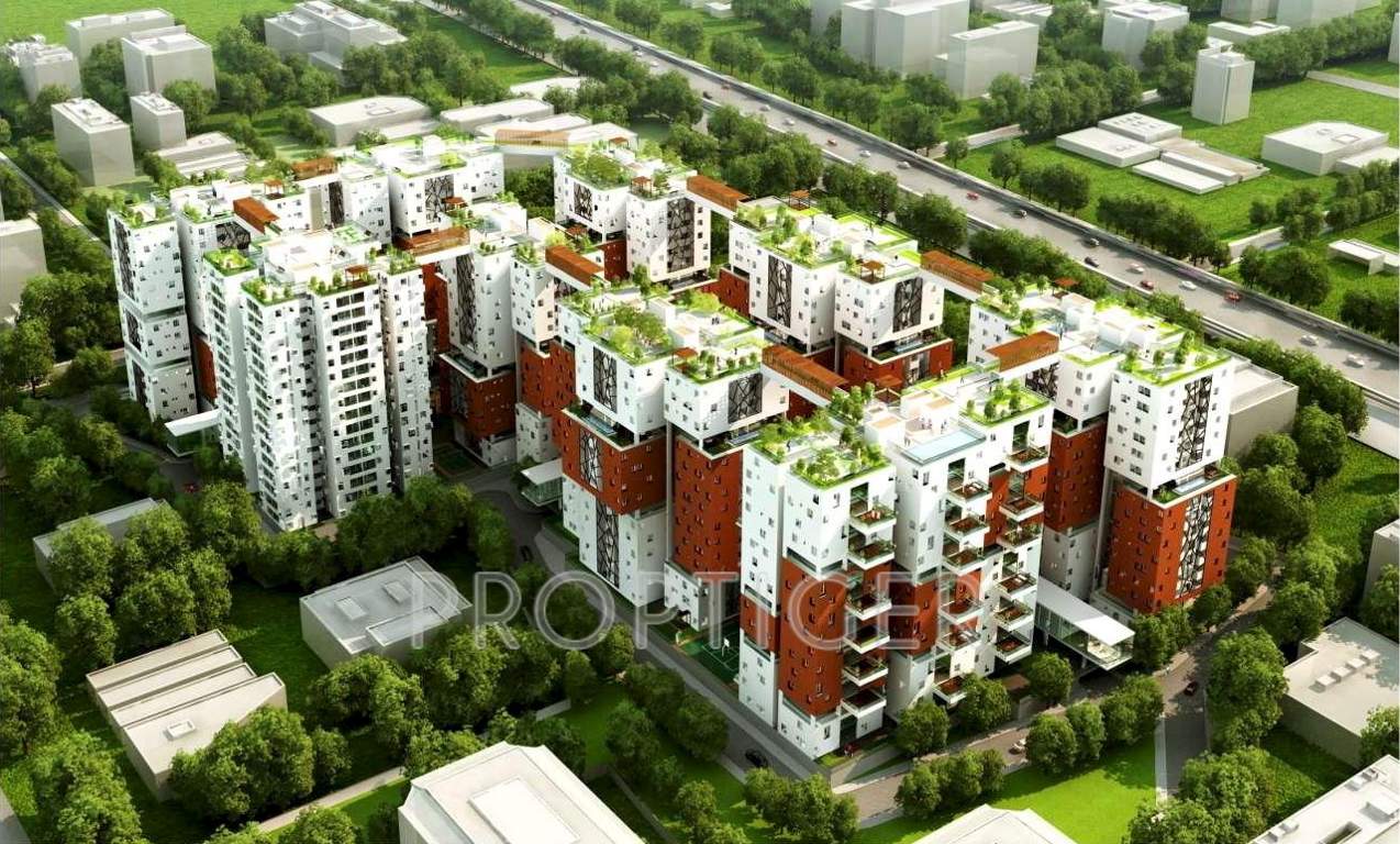 Images for Elevation of SPRRG Osian Chlorophyll