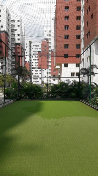 Cricket Pitch osian-chlorophyll Cricket Pitch