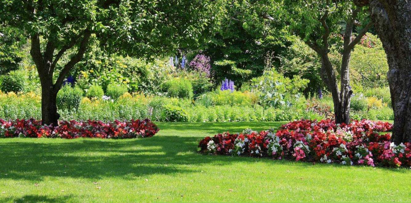 Images for Amenities of SPRRG Osian Chlorophyll