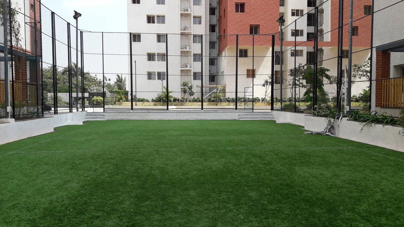 osian chlorophyll Others