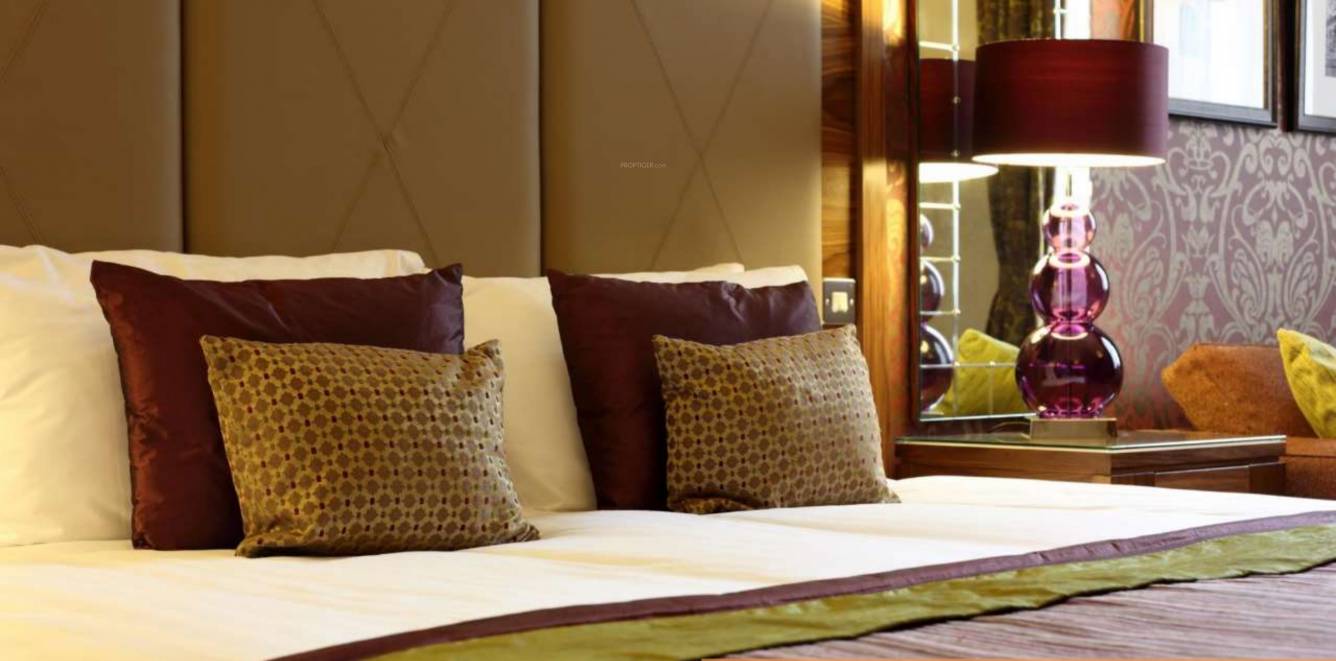 Images for Main Other of SPRRG Osian Chlorophyll