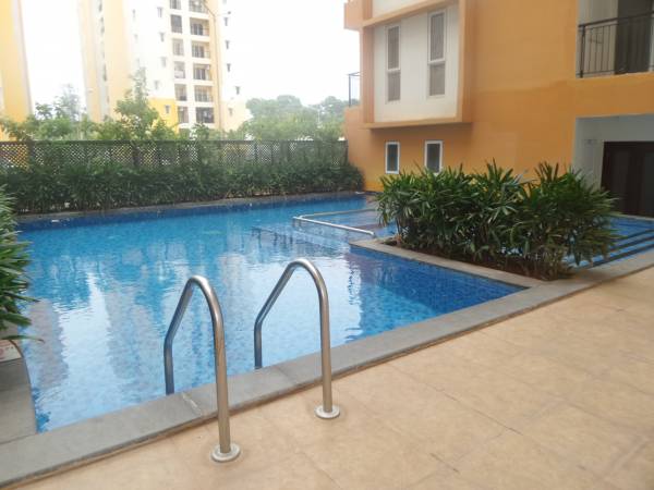  grande Swimming Pool