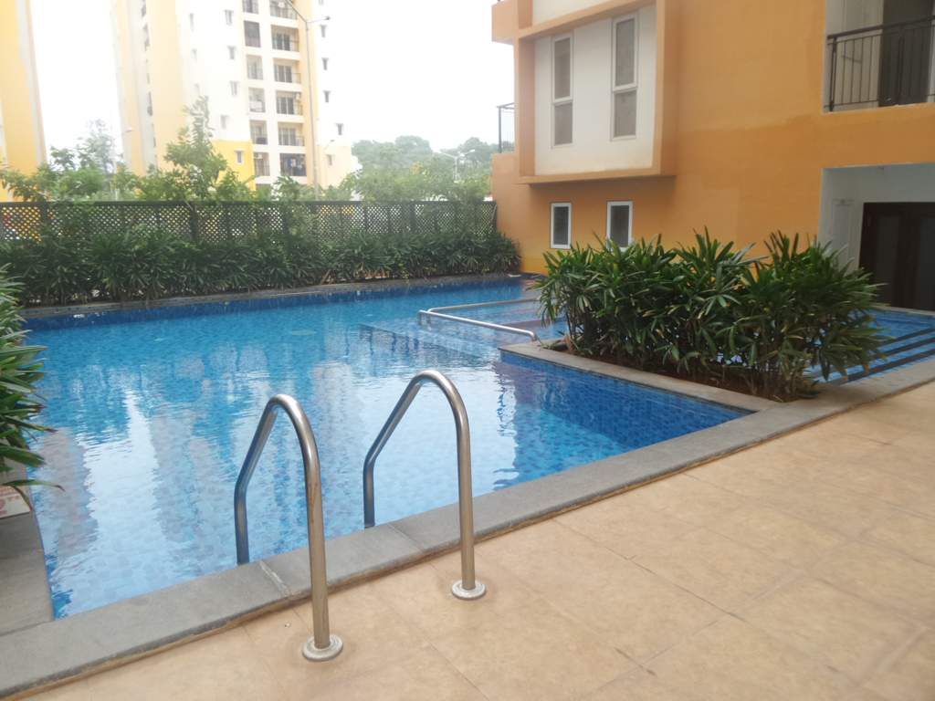  grande Swimming Pool