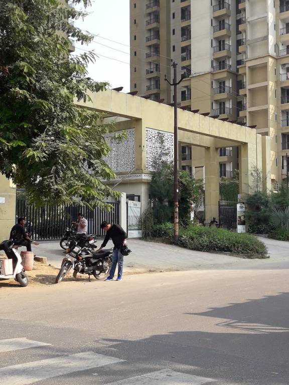  the aranya Images for Project