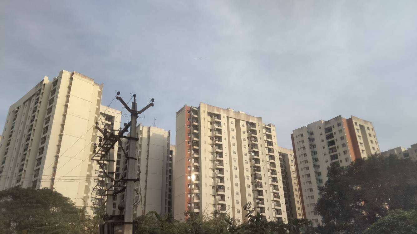 bella vista Elevation