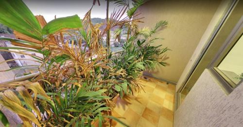  raj-grandeur Balcony