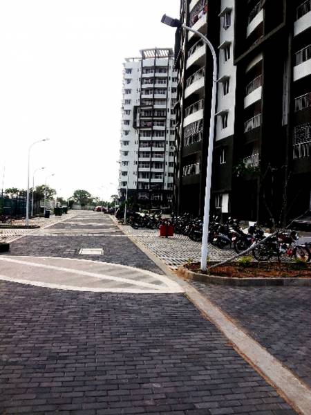 Images for Elevation of ETA Rosedale