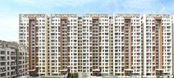 Images for Project amarante Images for Project