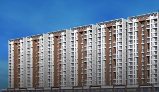  amarante Images for Project