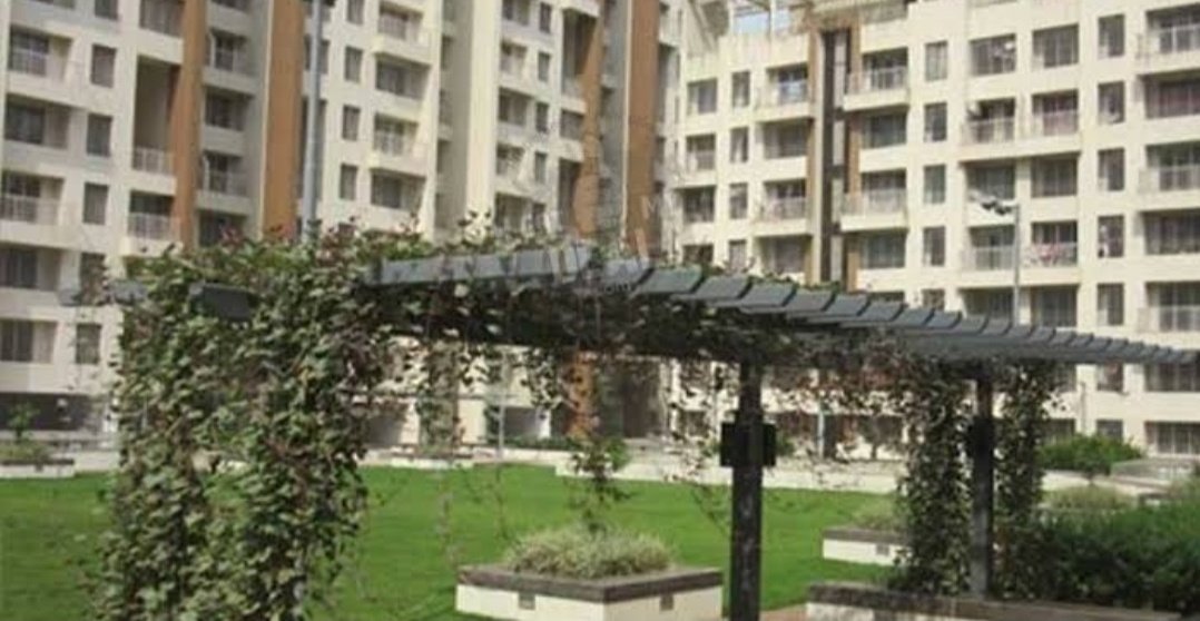  amarante Images for Project