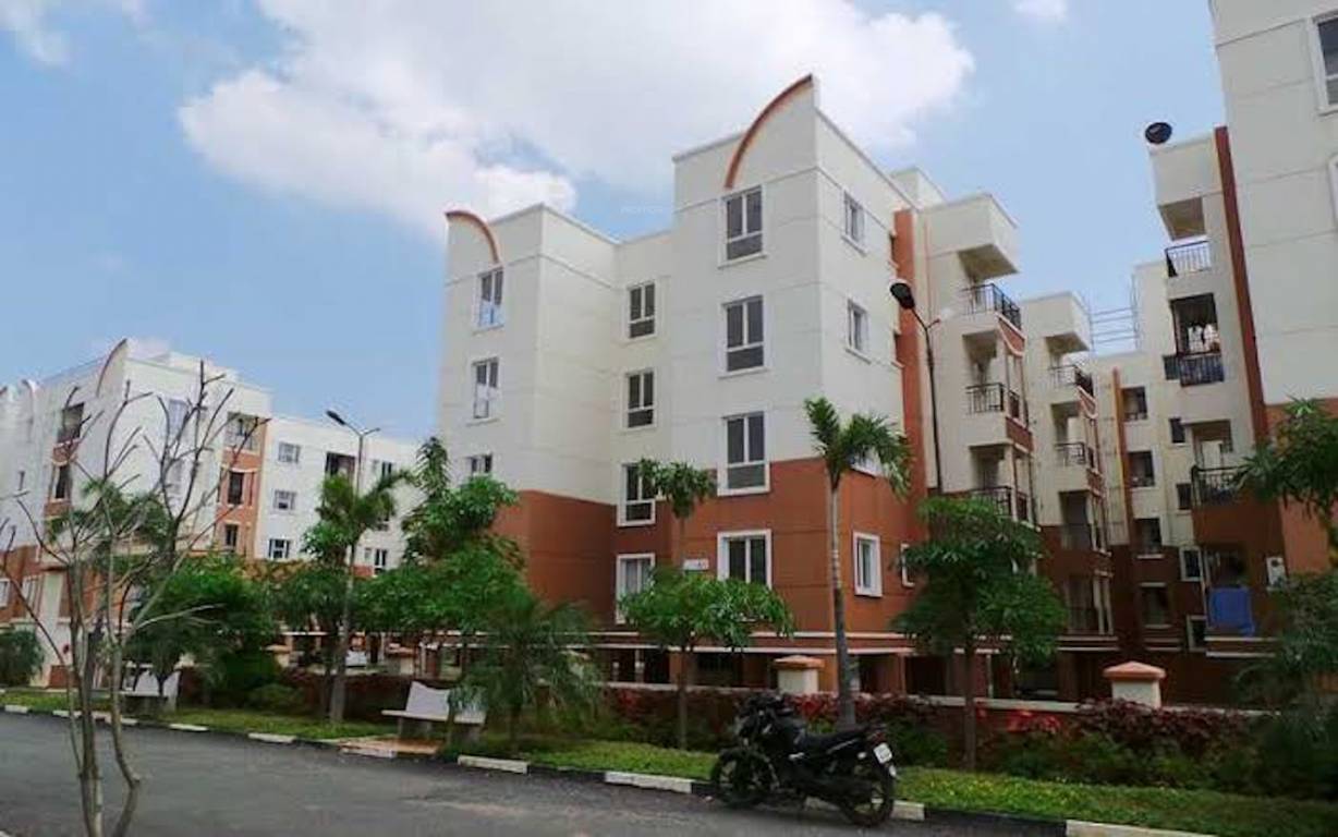  dewy terraces Elevation