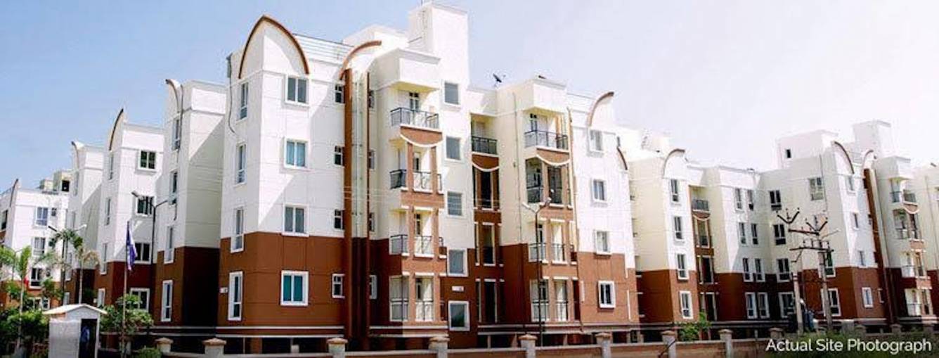  dewy terraces Elevation