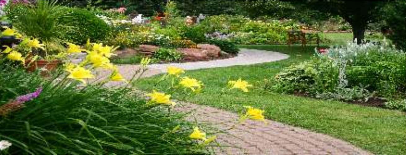  dewy terraces Images for Amenities of Sare Dewy Terraces