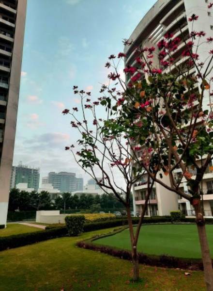 amenities of Chintels Paradiso